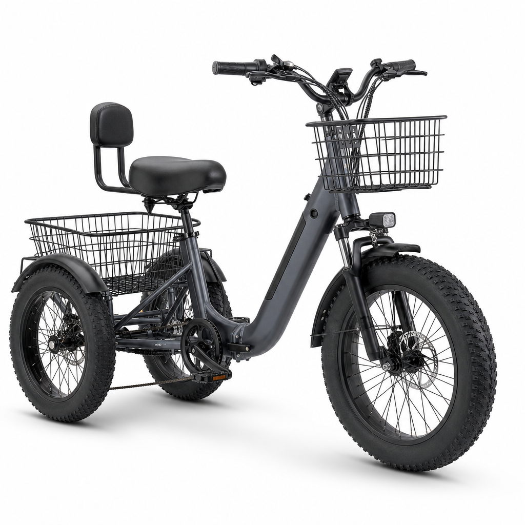 Elektrische Driewieler voor Volwassenen 250W